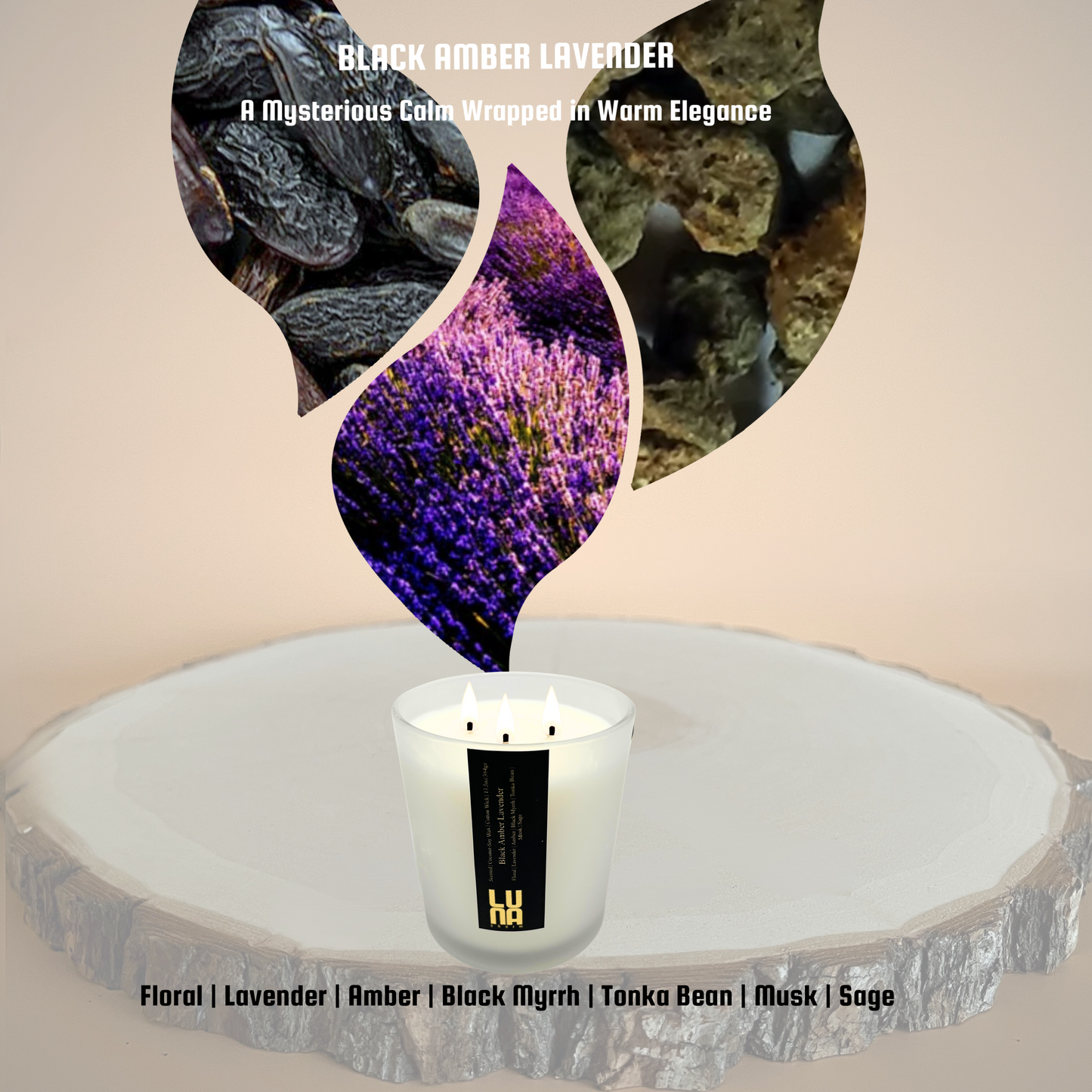 Black Amber Lavender