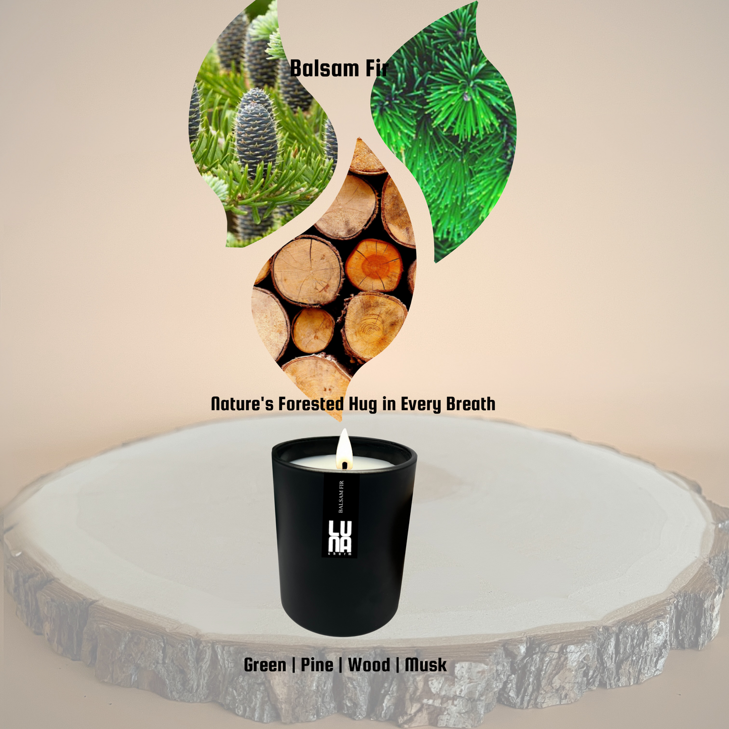 Balsam Fir