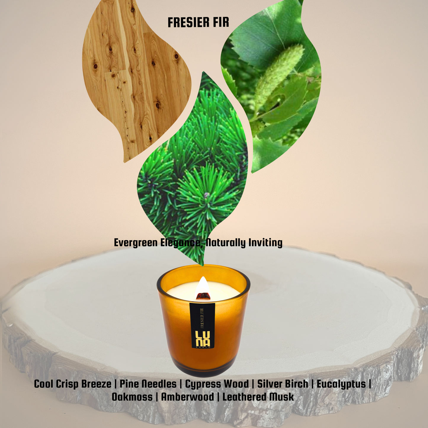 Fresier Fir